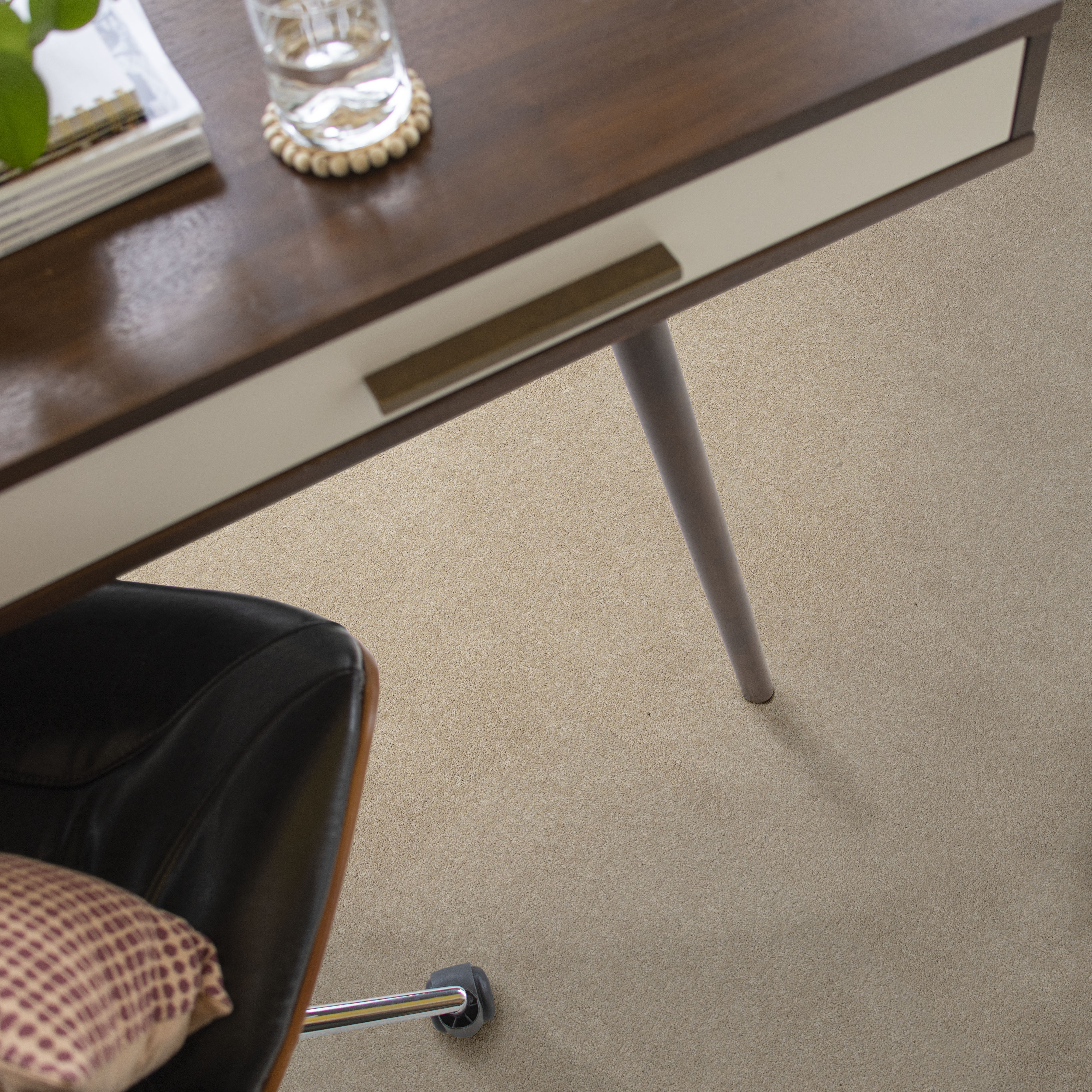 Vivid Touch I - Dune View Carpet | Shaw Floors